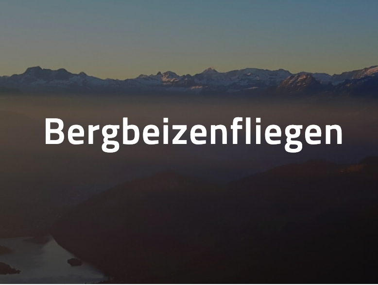 Biezen Flieger