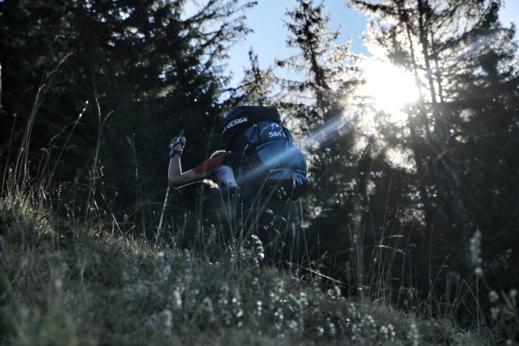 Verti' Cham